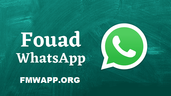 Fouad Whatsapp APK Feature